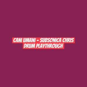 Cani Umani - Subsonica Chris Drum Playthrough